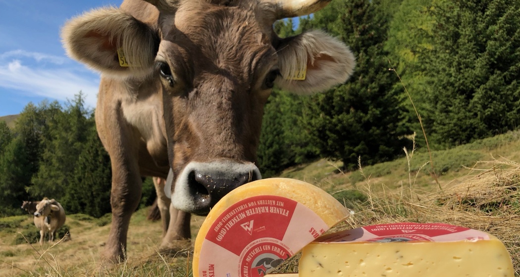 Chascharia / Käserei Ftan (oua_71780809_image)