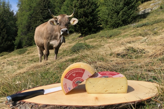 Chascharia / Käserei Ftan (oua_71780834_image)