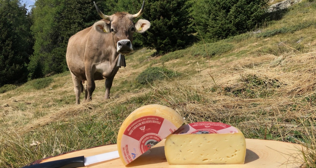 Chascharia / Käserei Ftan (oua_71780834_image)