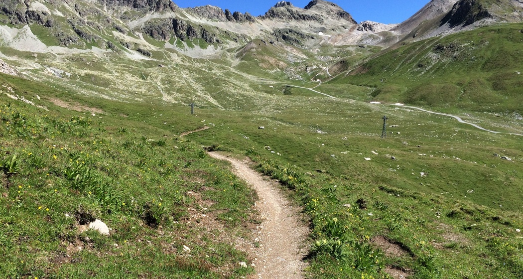 Chamanna Saluver Trail