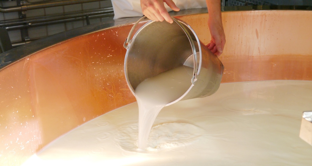 Das Foto zeigt ein Mitarbeiter der Milch in eine große Maschine eingießt
