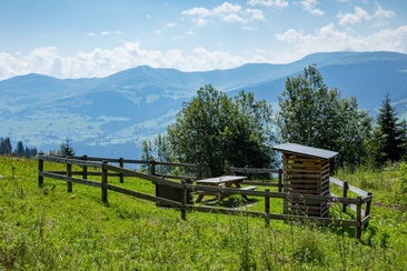 Das Foto zeigt die Feuerstelle Plaun da Steilas