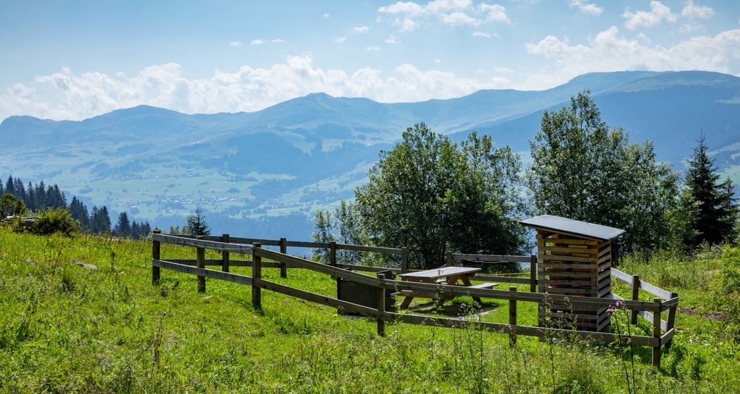 Das Foto zeigt die Feuerstelle Plaun da Steilas