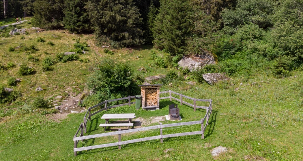 Das Foto zeigt die Plaun da Steilas in Richtung Wald