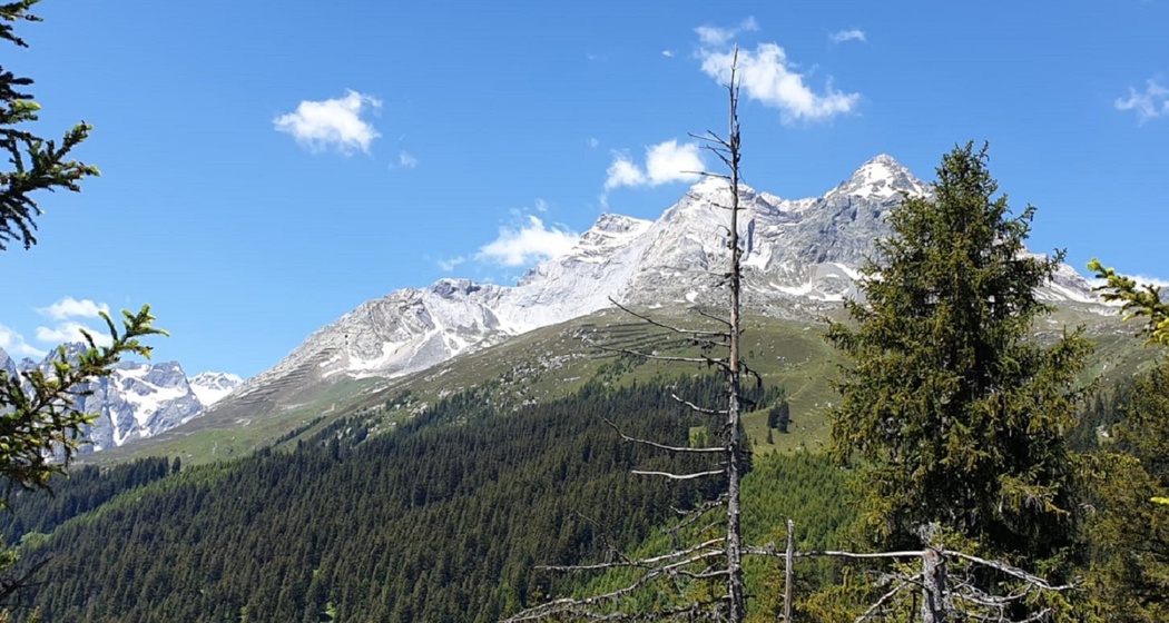Das Foto zeigt die Sicht auf dem Piz Dado