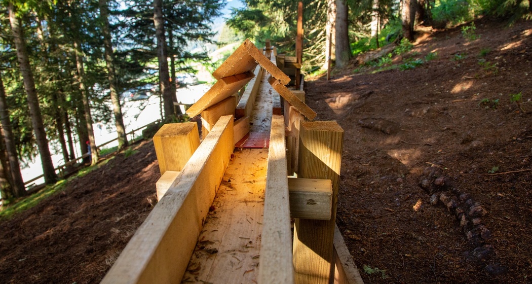 Das Foto zeigt die Holzkugelbahn im Wald