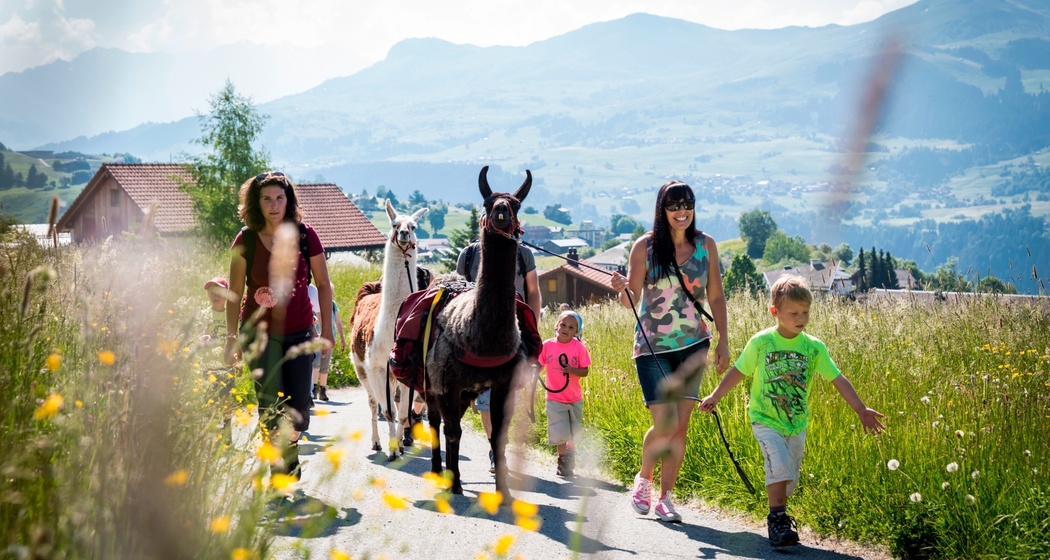 Das Foto zeigt eine Familie die mit Lamas einen Ausflug machen
