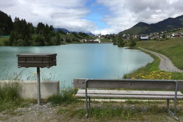 Das Foto zeigt die Lesebank, welches sich direkt vor dem Brigelser See befindet