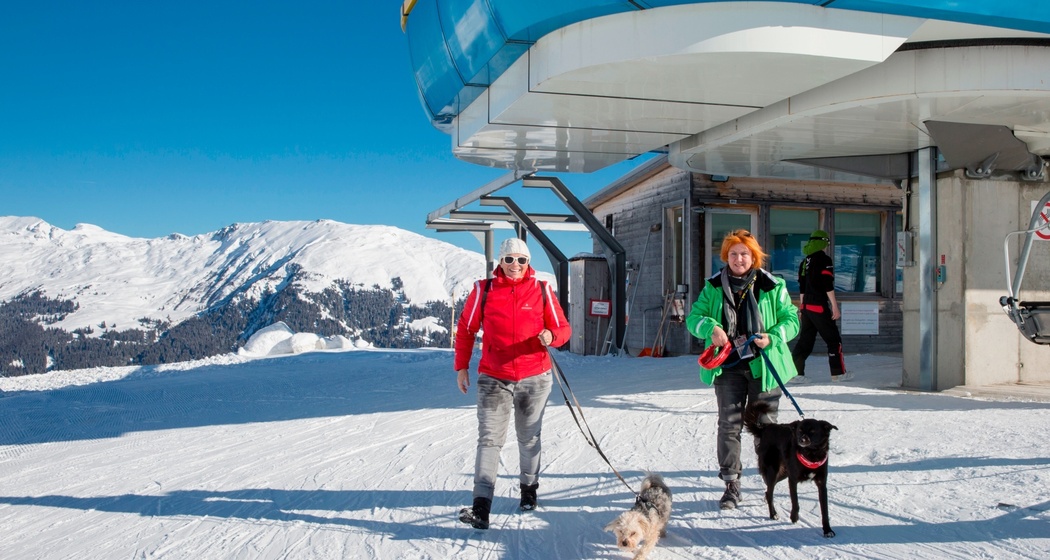 Das Foto zeigt zwei Frauen die mit Hunden auf der Bergstation aussteigen
