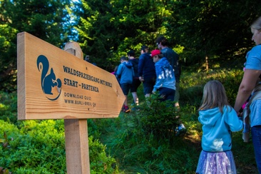 Das Foto zeigt einen Wegweiser des Waldspaziergangs