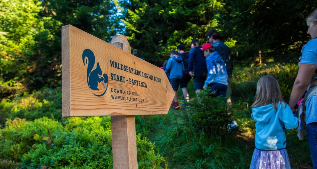 Das Foto zeigt einen Wegweiser des Waldspaziergangs