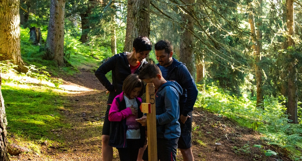 Das Foto zeigt eine Familie die nach dem Weg schauen