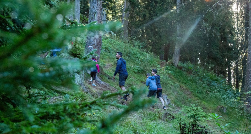 Das Foto zeigt eine Familie die auf dem Waldspaziergang laufen