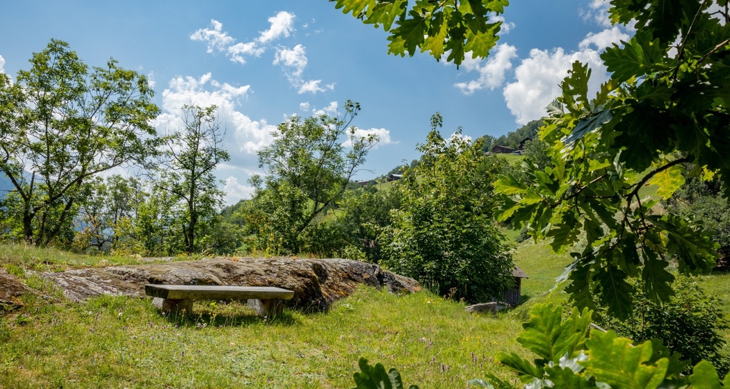 Das Foto zeigt eine Sitzbank in der Grep Patnasa