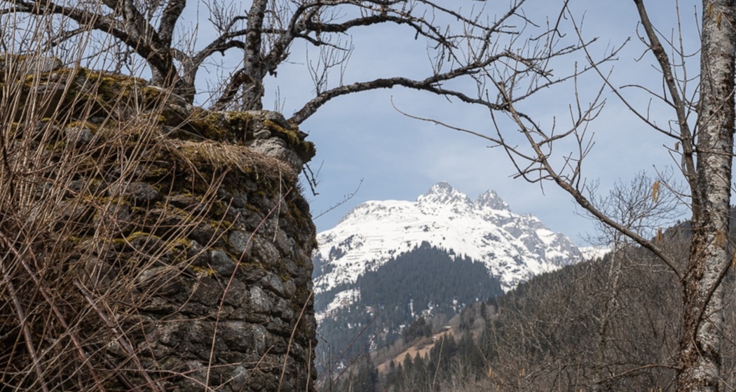 Das Foto zeigt ein Teil der Burgruine Friberg