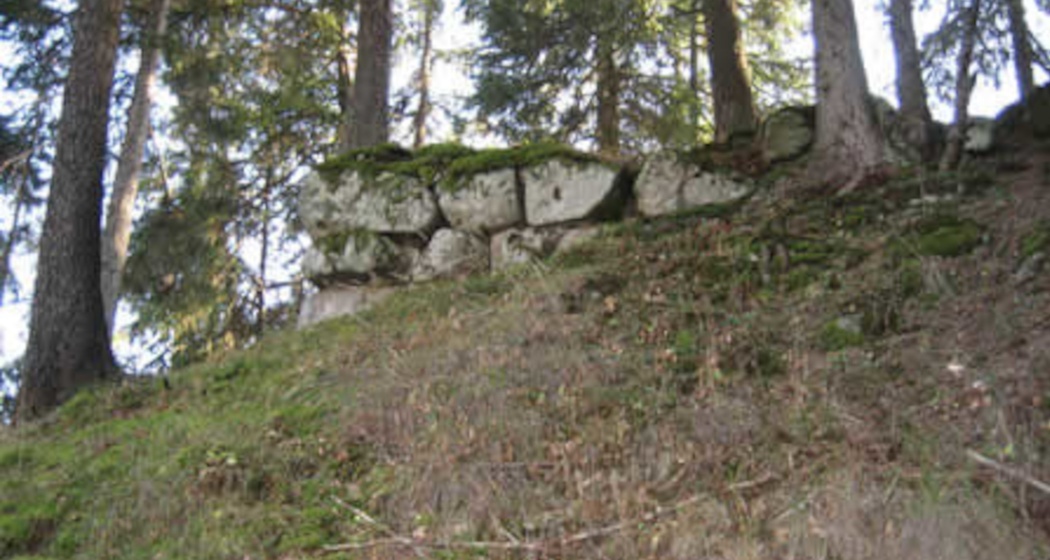 Das Foto zeigt die Burgruine Salons in Schlans