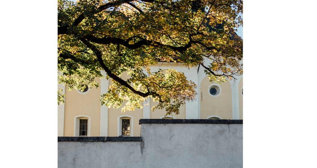 Das Foto zeigt den Ehrengarten