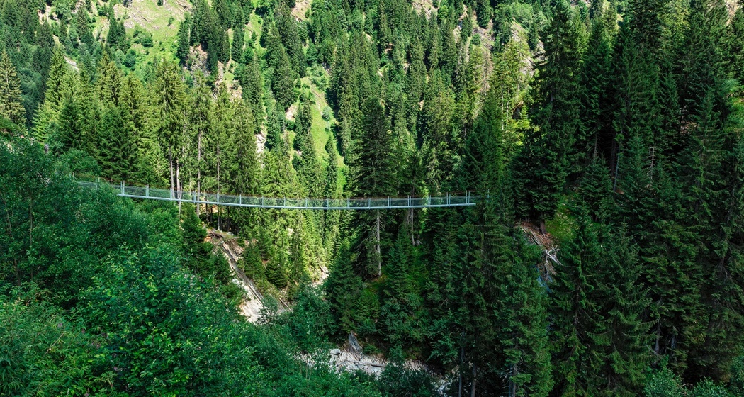 Das Foto zeigt die Hängebrücke in Val Sumvitg