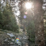 Vallée verte: Plaun- Runca Höhe (oua_71960533_image)