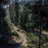 Vallée verte: Plaun- Runca Höhe (oua_71960536_image)