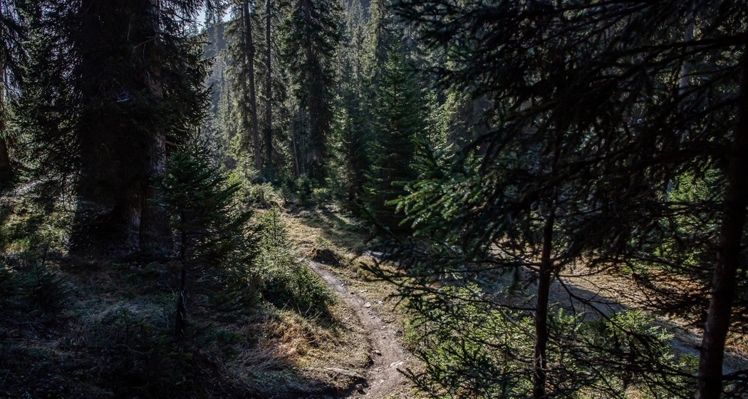 Green Valley Trail (oua_71960538_image)
