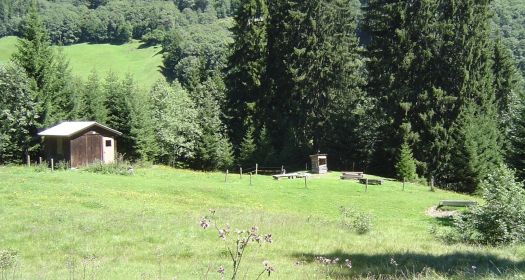 Aufnahme des Lagerplatzes Plaun Asch in Andiast.