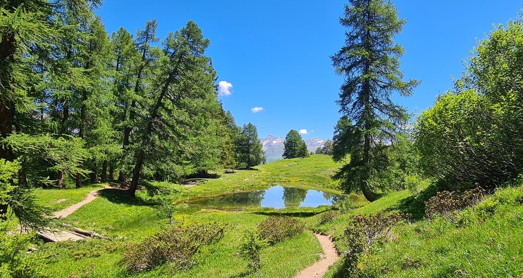 Bergseewanderung Lai Lung (oua_71962886_image)