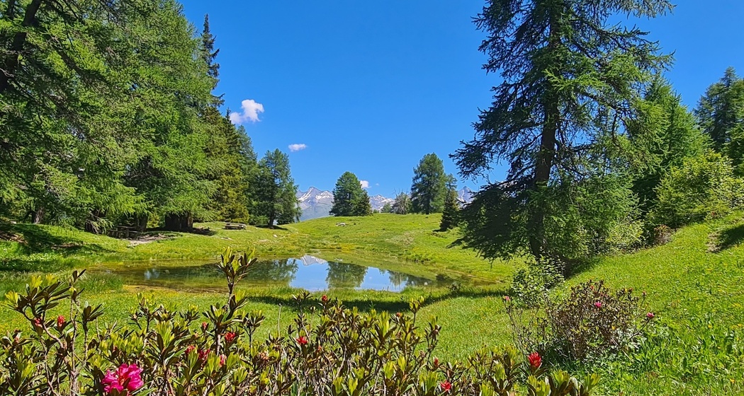 Grillstelle Lai Lung (oua_71962887_image)