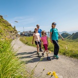 Sentier de la flore alpine