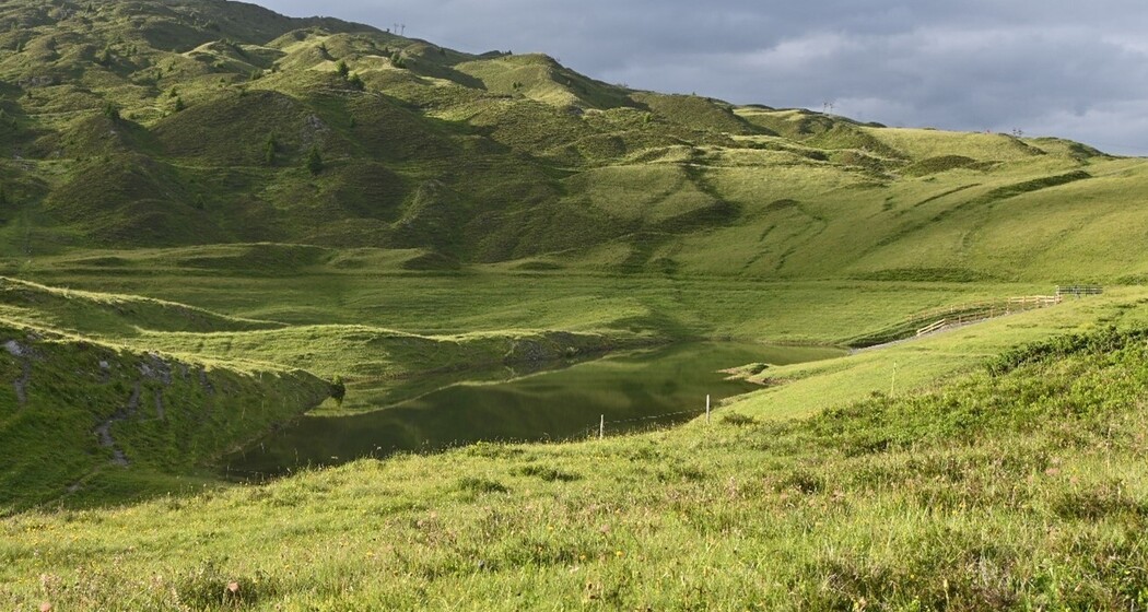 Abb.1 Reaktivierung Lüschersee Stand Ende Juni 2022