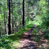 Singletrail to Pt 687