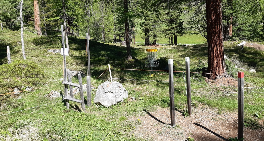 Disc-Golf (oua_72453042_image)