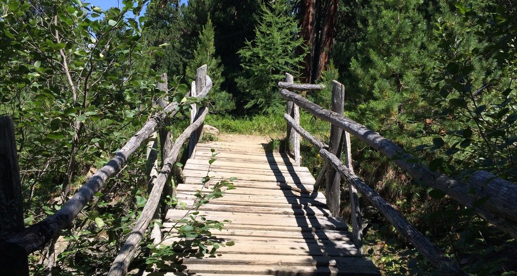 Weg zu Muottas da Schlarigna