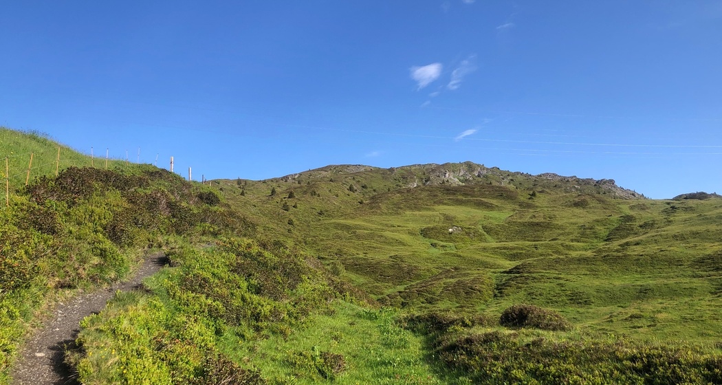 Weg von Glaspass auf den Glaser Grat