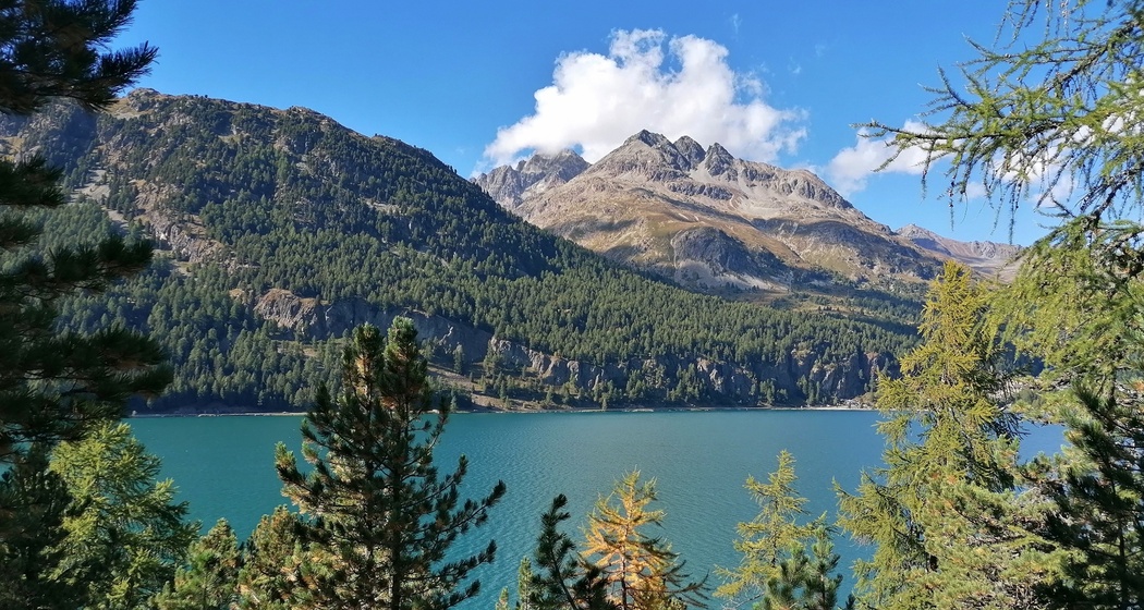 Silvaplanersee