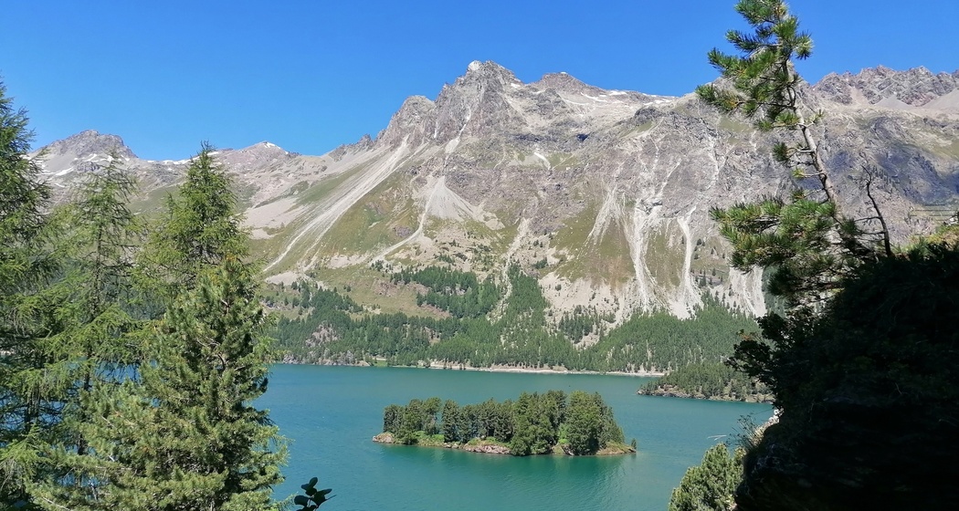 Blick auf den Silsersee