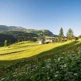 Ardez – Sur En d’Ardez – Giarsun (oua_72937964_image)