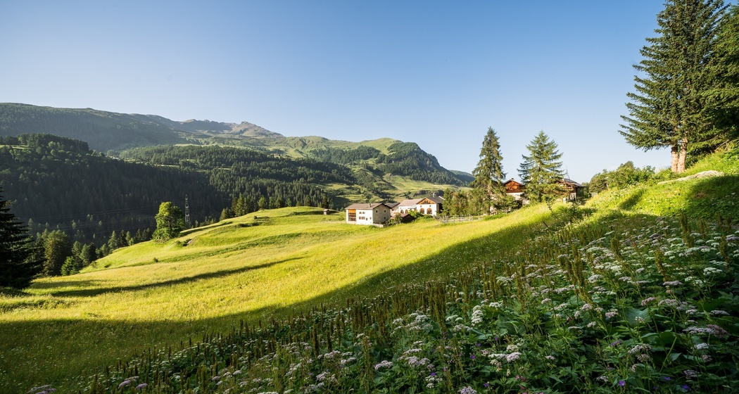 Ardez – Sur En d’Ardez – Giarsun (oua_72937964_image)