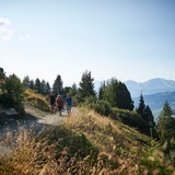 768 Arosa-Ochsenalp Rundtour
