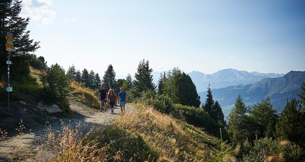 768 Arosa-Ochsenalp Rundtour