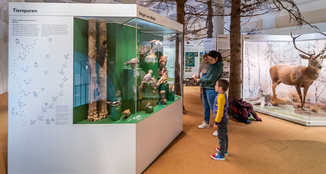 Naturkundliche Ausstellung