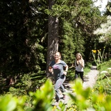 Ausschliesslich über Single-Trails und Forststrassen