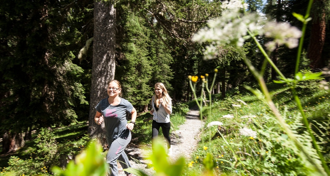 Ausschliesslich über Single-Trails und Forststrassen