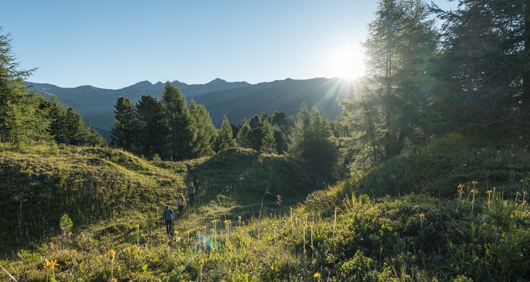 Single-Trail auf dem Fuorcla Curschiglias