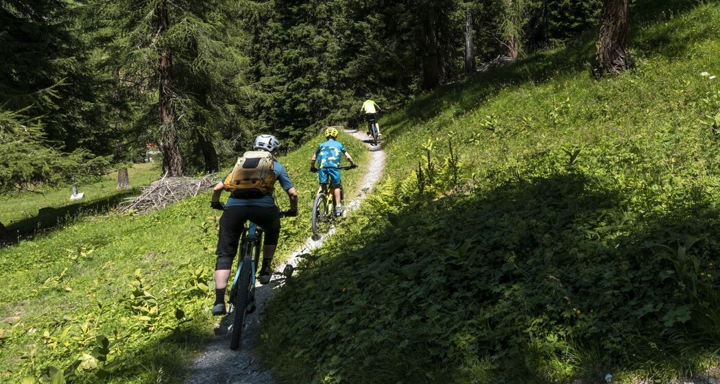 Tal-Trail Samnaun (oua_73018400_image)