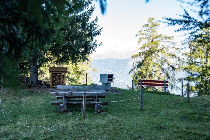 Sumas Artgas fireplace