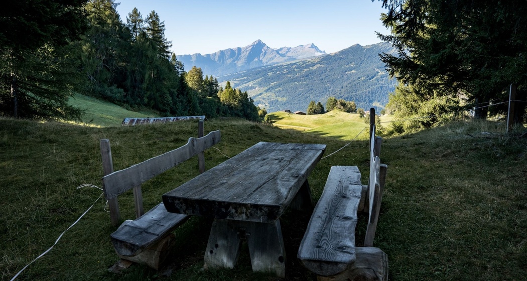 Feuerstelle Sumas Artgas