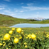 Le lac Libi au printemps