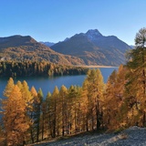 Blick auf den Silsersee
