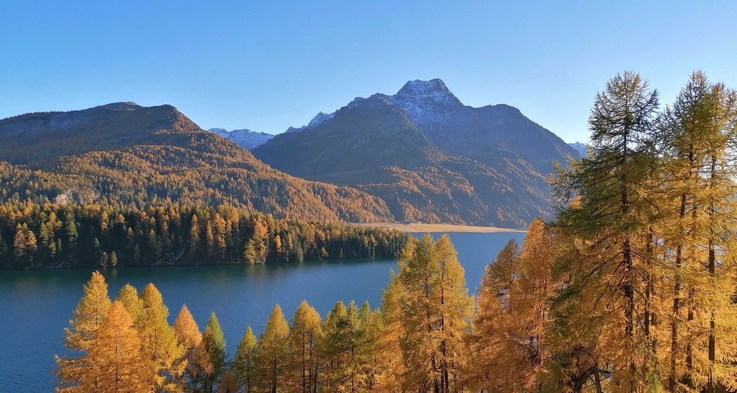 Blick auf den Silsersee